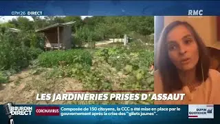 DUPIN QUOTIDIEN: Les jardineries prises d'assaut