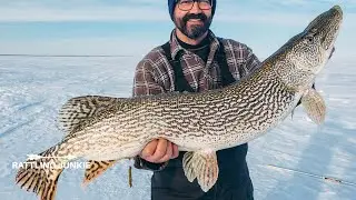 BIG PIKE on iFISH PRO TIP-UP (icefishing)