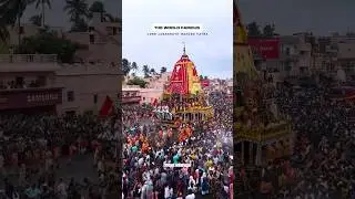 The World Famous Bahuda Jatra Of Lord Jagannath #bahudayatra #shortsfeed #jagannath #puri #ytshorts
