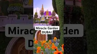 Dubai Miracle Garden, UAE &ndash; A Blooming Paradise 🌸