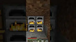 tan flash? #shorts #minecraft #minecraftmemes #minecraftbuilding #minecraftspeedrun