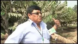 Capacitación INIA Chirimoya
