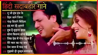 90's Old Hindi Song ,💕 90s Love Song 🥀Udit Narayan ✨ Alka yagnik 💓Kmar Sanu Sonu 