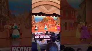Beauty and the Beast DISNEY WORLD 🌹 #disney #disneyworld #shorts