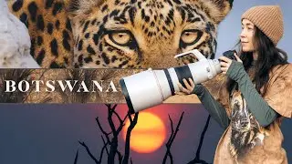 This Is What a Safari in Botswana Is Really Like | Okavango Delta & Savuti