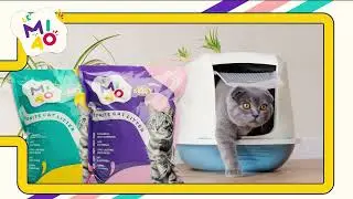𝐋𝐞 𝐌𝐢𝐚𝐨 𝐁𝐞𝐧𝐭𝐨𝐧𝐢𝐭𝐞 𝐂𝐚𝐭 𝐋𝐢𝐭𝐭𝐞𝐫 &ndash; Perfect for Your Cat's Health, Cleanliness & Freshness
