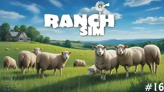 I Finally Got Sheep for My Ranch In Ranch Simulator&nbsp;#16
