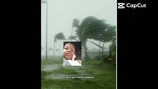 This would be me if I was a NEWS PERSON LOL 😂