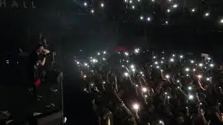 25 ноября 2017 - ANIMAL ДЖАZ | MILO CONCERT HALL / Нижний Новгород