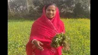 সুষণী শাক রান্না করার সহজ পদ্ধতি