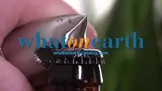 Shark Attack Bottle Opener