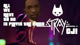 All we have to do is playin the damn STRAY, CJ!