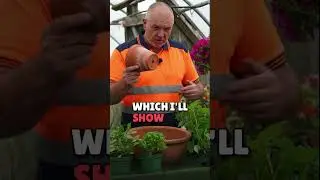 🌿 Herb Planter Mistakes You&rsquo;re Probably Making! 🏡 #herbplanter #howtoplantherbs #herbgarden