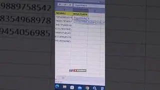 How to create WhatsApp link in excel#knowledge #exceltraining #learning #basic #exceltrick #coaching
