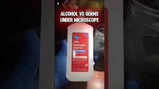 Убивает ли 70% спирт микробы? (ПРИ МИКРОСКОПЕ)