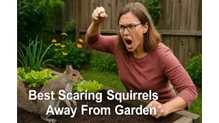 🦉 Best Scaring Squirrels Away From Garden | Hedoc 2 Pack Fake Owl Decoys to Scare Birds Away 🐦