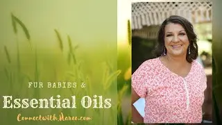 Pet safe essential oils - diffusing essential oils around dogs and cats