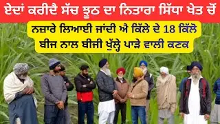 ਆਪ ਕਰੋ ਸੱਚ-ਝੂਠ ਦਾ ਨਿਤਾਰਾ | ਕੀ ਕਹਿੰਦੀ ਕਿੱਲੇ ਦੇ 18 ਕਿੱਲੋ ਬੀਜ ਵਾਲੀ ਕਣਕ ? | Dekho 18 kg acre wali kanak