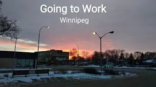Portage Street | Winnipeg | University Student + MITT Canada