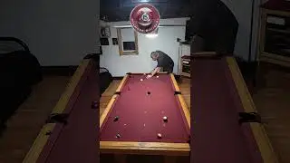 Another Full 7 BALL Runout!