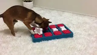 Dog Brick - Nina Ottosson - New