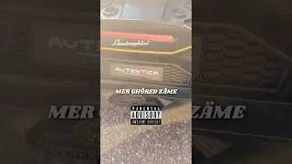 Mia f&auml;hrt heute meinen weissen Lamborghini 😍 #swissrap #lamborghini #hundeliebe