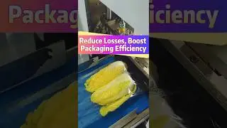 Vegetable Packaging Machine | Reduce Waste & Boost Efficiency for Wholesale & Supermarket Supply