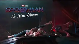 Cena Alternativas de Homem Aranha sem volta para casa.