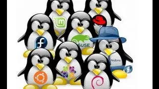 TOP 5 Linux Distro's