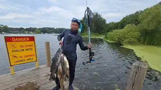 Pescando Grandes Peces con Arpon En Aguas Muy Frias