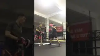 Combo Boxing (Role/Catch Rear - Rear Uppercup - Lead Hook)