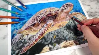 Eco Friendly Art Tips - Being a Greener Colour Pencil Artist