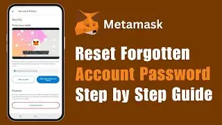How To Reset Forgotten Metamask Account Password? Metamask Account Recovery 2025