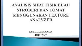 Analisis Sifat Fisik Buah Stroberi dan Tomat Menggunakan Texture Analyzer | Lulu' Ilmaknun