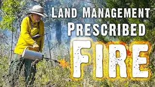 How Prescribed Fire Will Improve Your Hunting Property | Land Management Series
