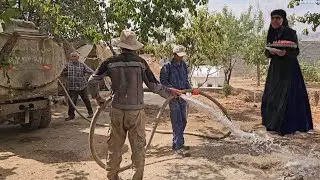Beautifying Grandma's Dream Garden: Breathing New Life into Trees