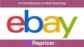 An Introduction to eBay Repricing | eBay Repricing