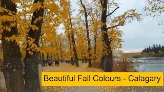 Fall Colours in Calgary, Alberta  ! Fall - Autumn Season 2020