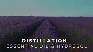 Essential oils and hydrosol distillation ― Copper Pro