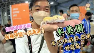 熱血阿傑超狂生態課！水美園下集特寵 長戟 守宮 閃鱗蛇 竹節蟲 螳螂