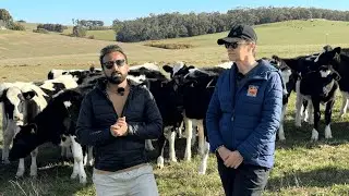 Thrilled To Announce Rivergen's Cattle Shipment Nov 2025