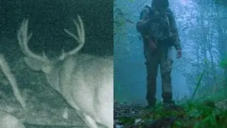 2025 B.C. Blacktail Hunt