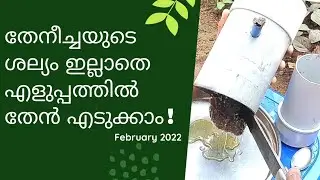 എളുപ്പത്തിൽ ചെറുതേൻ എടുക്കാം