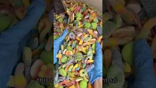 This Order SHUT Us Down!! (HUGE CANDY ORDER)