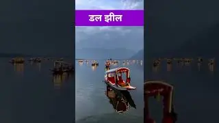 best five places to visit in Srinagar #bestfive #best #bestroadtrip #bestvideo #heavenonearth #viral
