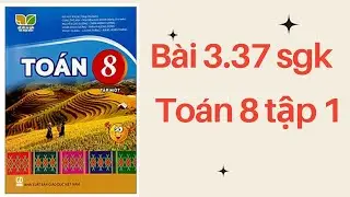 Bài 3.37 sgk toán 8 tập 1 kết nối tri thức