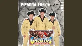 Me piden dos toneladas