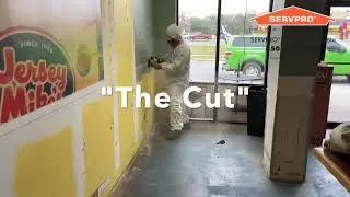 Responding to a light commercial mold issue