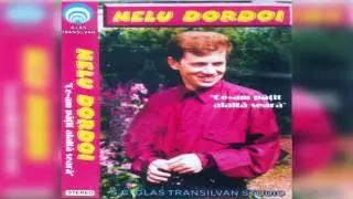 Nelu Dordoi - Can` vin seara acasa - CD - Ce-am patit alalta seara