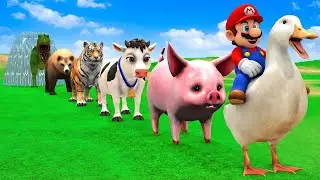 Long Slide Game with Cow Elephant Gorilla Hippopotamus Tiger 3d Animal Game Funny 3d Animals